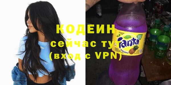 гашик Алексин