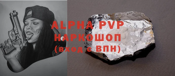 гашик Алексин