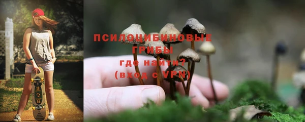 гашик Алексин
