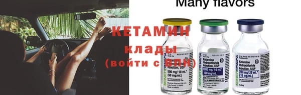 гашик Алексин