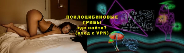 гашик Алзамай