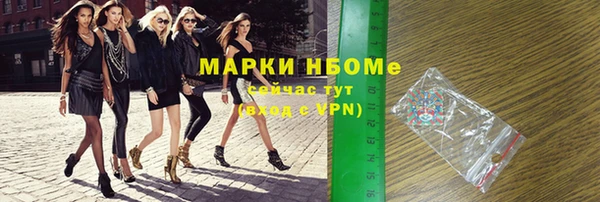 гашик Алексин