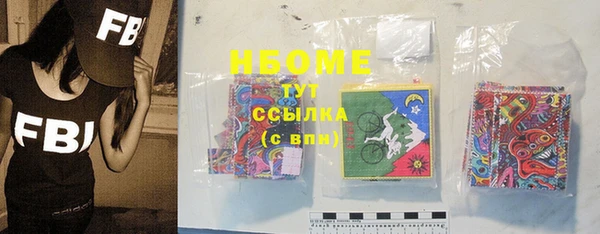 гашик Алексин