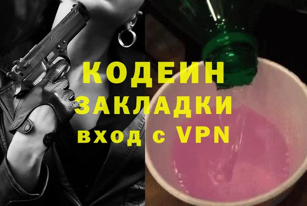 гашик Алексин