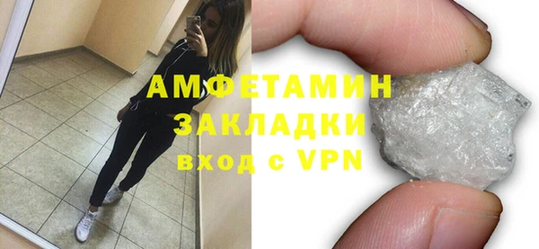 гашик Алексин