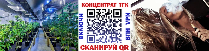 купить закладку  KRAKEN сайт  ТГК THC oil  Богучар 