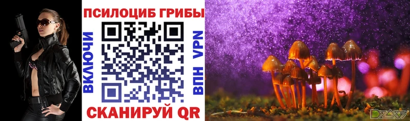ссылка на мегу tor  Богучар  Галлюциногенные грибы Cubensis 